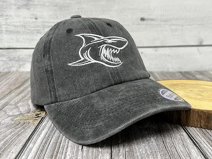 Embroidered Baseball Hats for Men Women