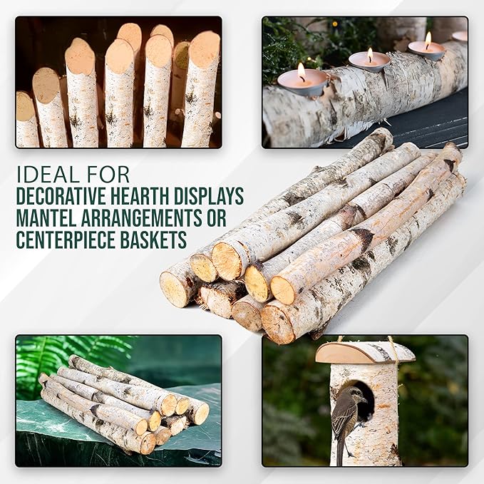17 Inch Natural Birch Logs - Image 3