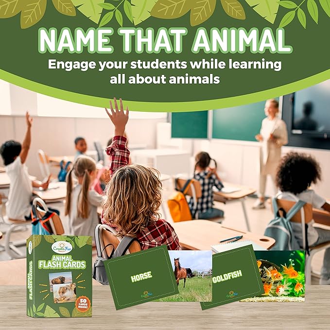 50 Animal Flash Cards - Image 7