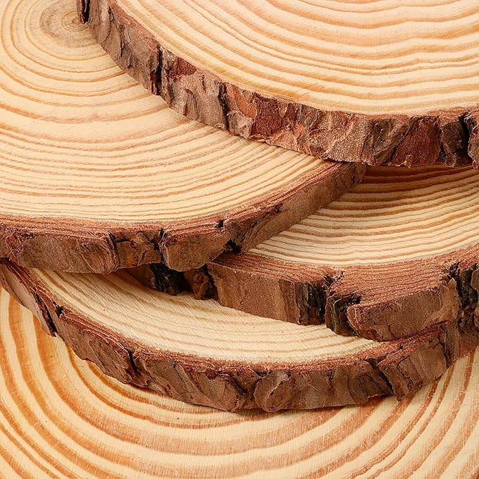 JEUIHAU 10 PCS 5.9-6.3 Inches Natural Unfinished Wood Slices, Round Wooden Tree - Image 3