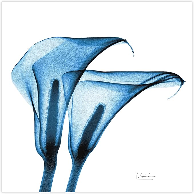 Empire Art Direct Frameless Free Floating Tempered Glass Panel Graphic Wall Art - Image 3