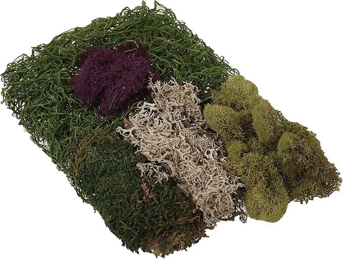 SuperMoss Moss Mix - Image 3